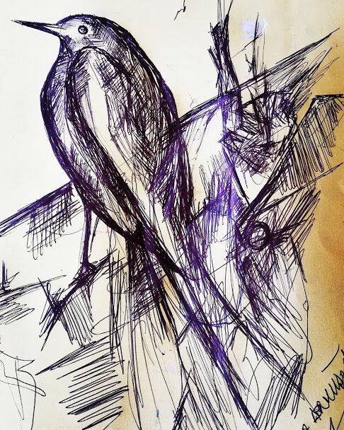 Ballpoint pen drawing by Bora Dervişoğlu (003)